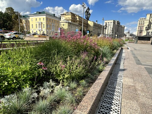 цветник вдоль Манежки