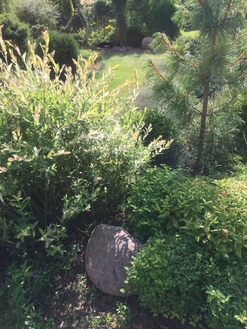 IMG 7091