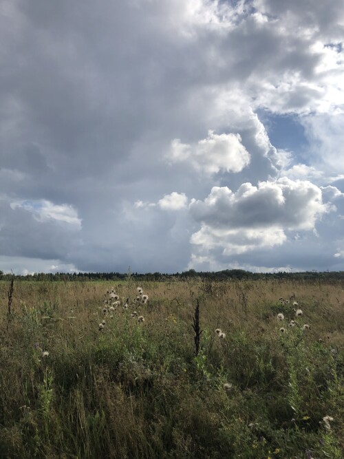 IMG 1359
