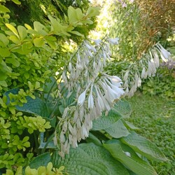 IMG_20240713_173714eba9a46860143154