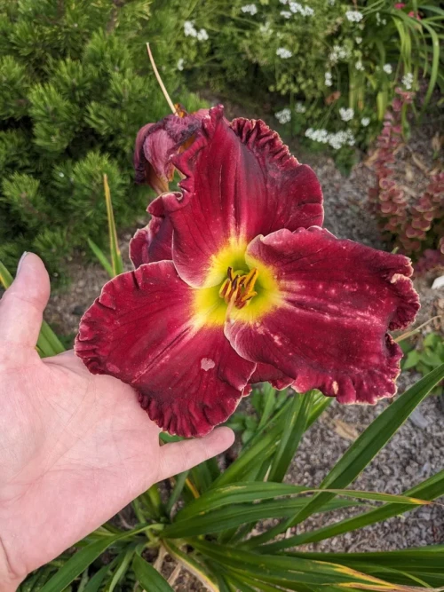 2023-08-08-08-56-3245e6fddac2984d37.webp