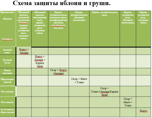 SKEMA-OBRABOTKI-YBLONI-I-GRUSI176648c1a53d707b.png