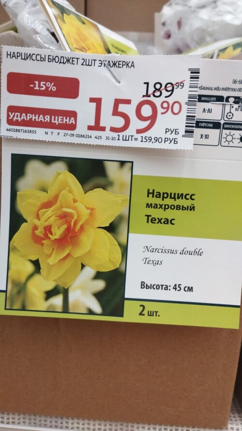 IMG-20241010-WA0013b2519de764340fbd.jpg