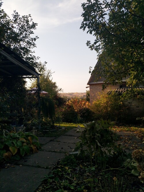 IMG 20241012 160550