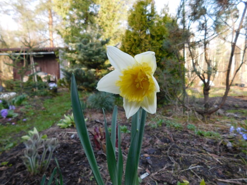 DSCN33522f4d3ddb49b21fd6.jpg