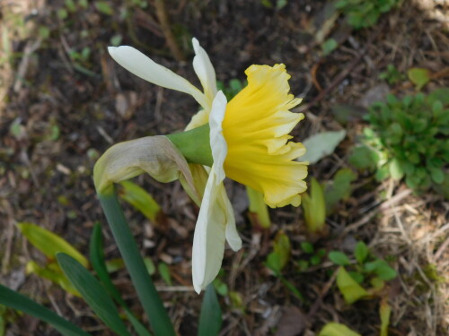 DSCN339864efc5c2424afb58.jpg