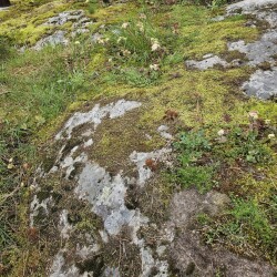 LISAINIKI_16db13a00e3a65870