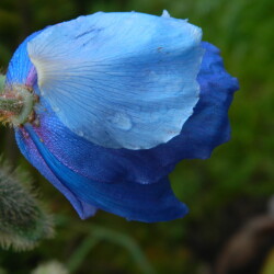 DSCN5267b69f81ab8a27a93d