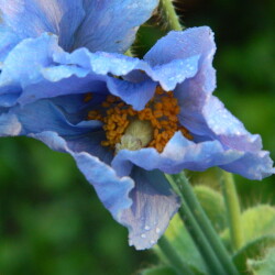 DSCN6013ad18c41ad86ef6dd