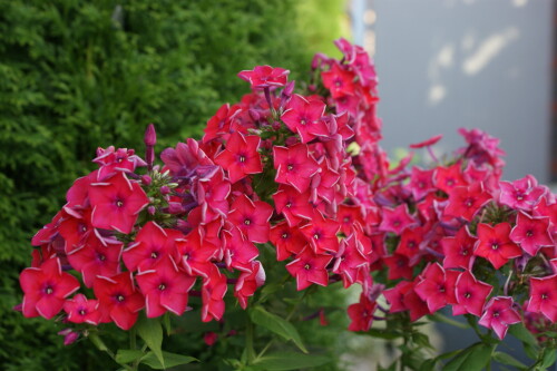 DSC05997c0a87c0f909b0536.jpg