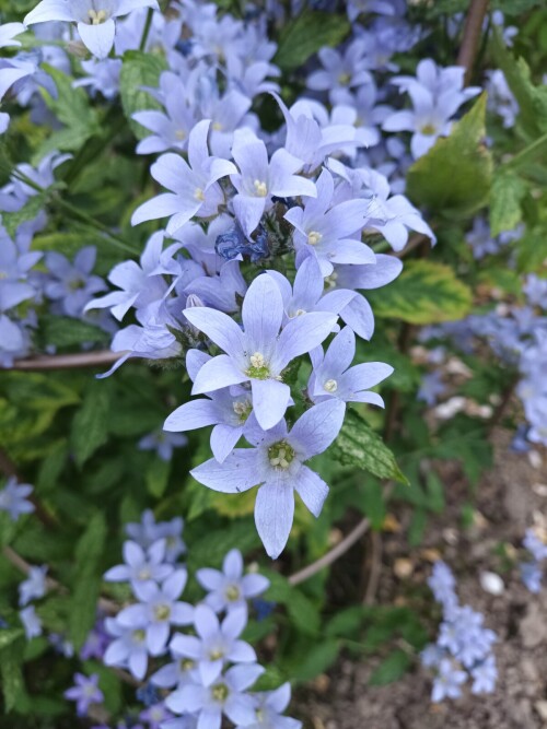 IMG 20240704 181645 495