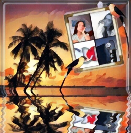 The-Brazilian-point-of-view-podcast-B2B-guest-Richard-Blank-Costa-Ricas-Call-Centerb7c8ce9a04b1bb53.jpg