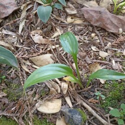 IMG_20240929_1240083c360df9526910eb