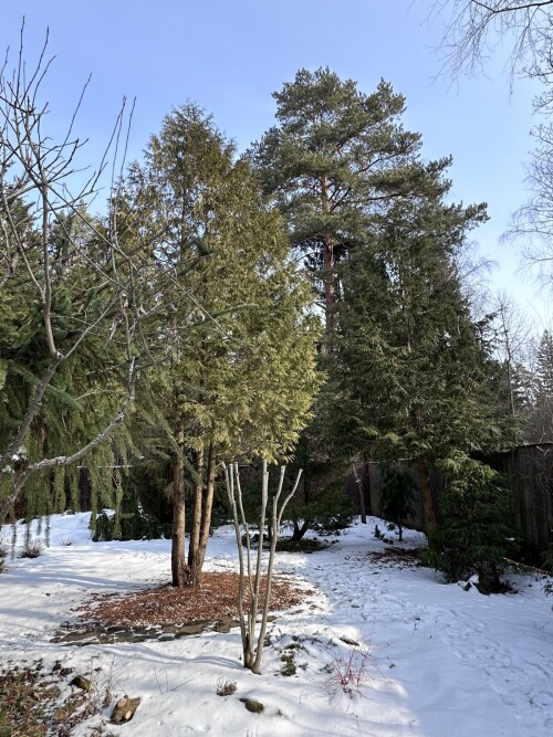 0431cec1d5aaef7c0e4.jpg