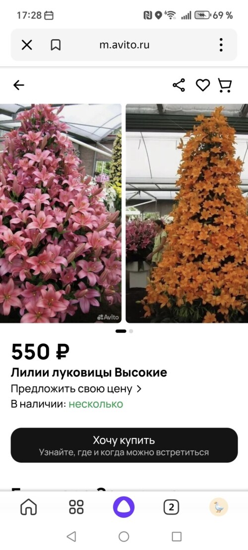 1000043973