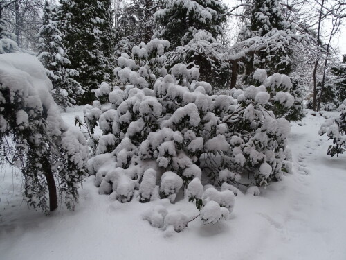 DSC0917978d24c0dbfa1246e.jpg