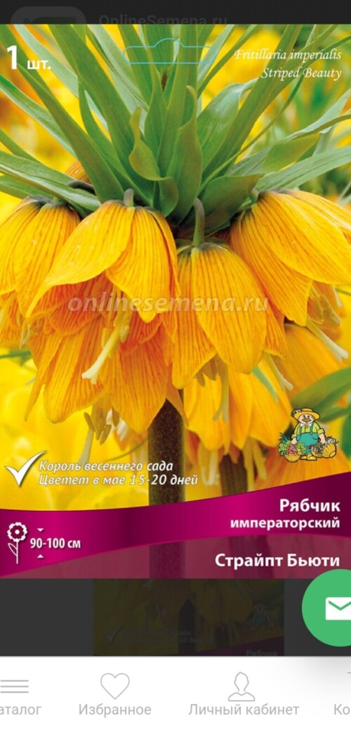 Screenshot 20250506 082620 Gallery
