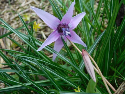 DSCN8834