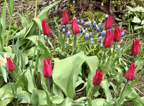 IMG_83021bc96232c05bdfae.jpg