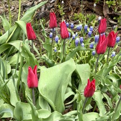 IMG_83021bc96232c05bdfae