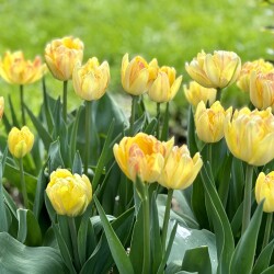IMG_83244c60db4fd22eb792