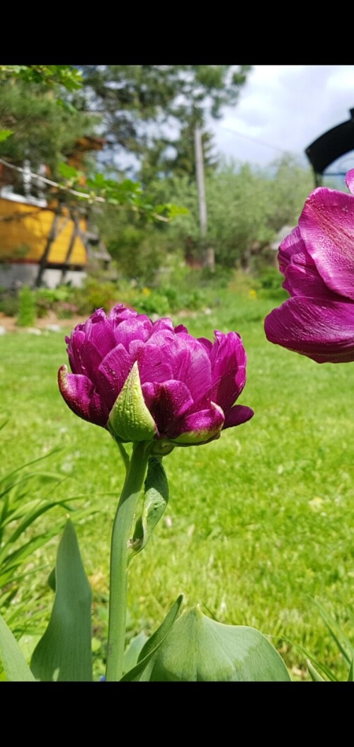 Screenshot 20250519 125043 Gallery
