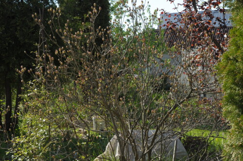 DSC_03343be338e3fc1b4c32.jpg