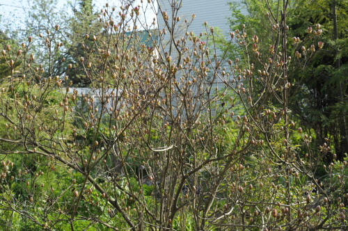 DSC_03359b2e95431792e8ff.jpg
