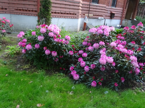 DSC09469fa4e9b0d019fea6d.jpg