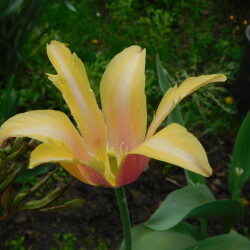 DSCN93773e9454501f911759