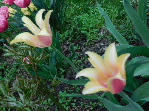 DSCN9378b7f0eb1d4c12c594.jpg