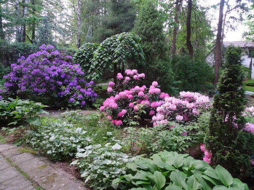 DSC0957378446198b5879251.jpg