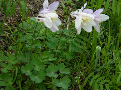 DSCN0080