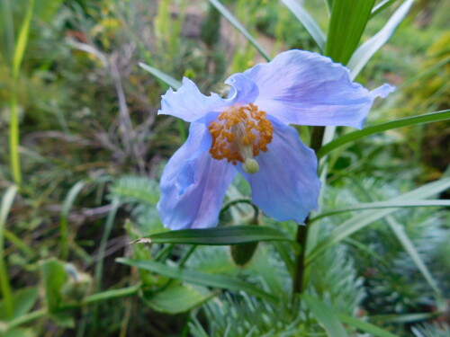 DSCN0535ff4e8e69093f8369.jpg