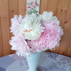 Couronne-dOr-Sarah-30-jun9ba7914f4d907367