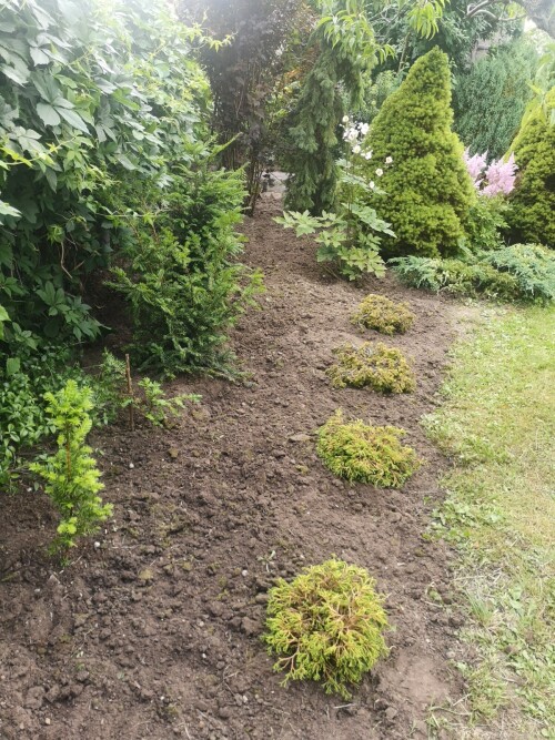 26.07.25 1