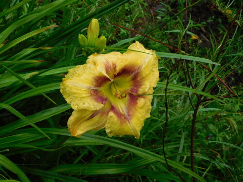 DSCN11946fa32e5e69b701b5.jpg