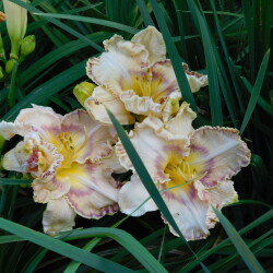DSCN1228e28182b9d049975a