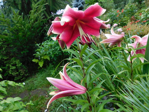 DSCN1505aa90e40d580059bc.jpg
