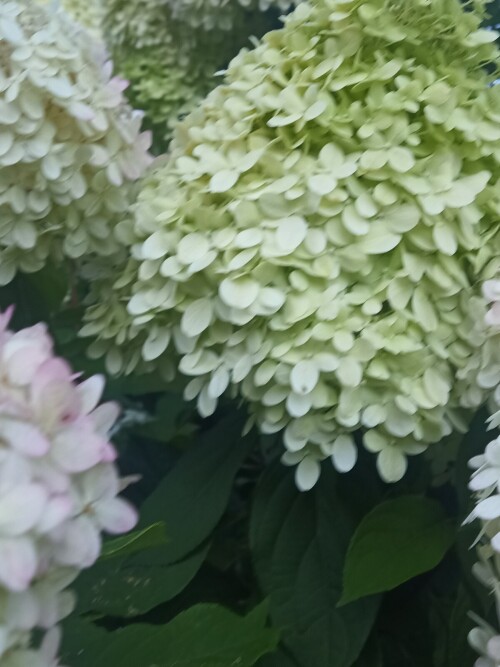 IMG 20250816 065318 885