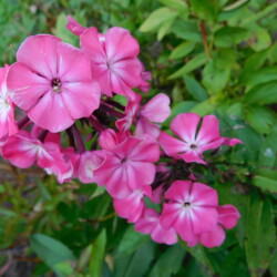 DSCN2348c2d05224b11cd4fe