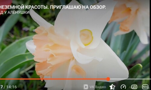 Screenshot_20251014-184436_17d190668ed8a2d7f.jpg