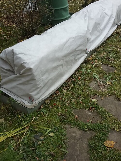 20211016-UKRYTIE-ROZ1365d0ee235263ca.jpg