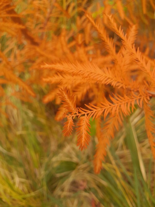 20251019_1032384f665dfdb9a407ed.jpg