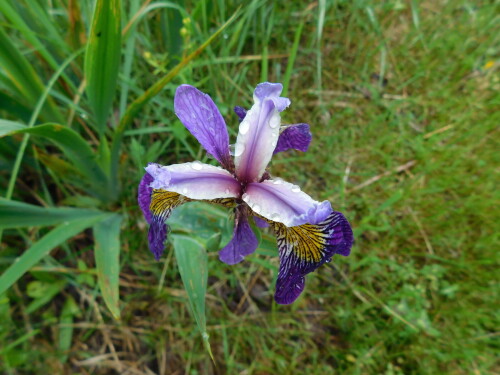 DSCN009814437895e2d7eff7.jpg