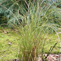 IMG_09185a67184ef68cdcd1