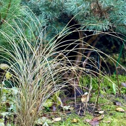 IMG_09217813b368075bf9b9