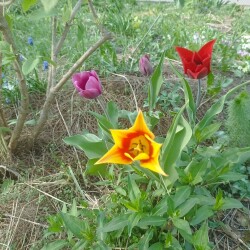 IMG_20250423_16313150f499cc597739e1