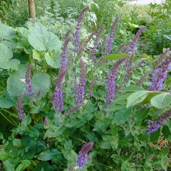 IMG_20250602_1948224f06111c2f93f312