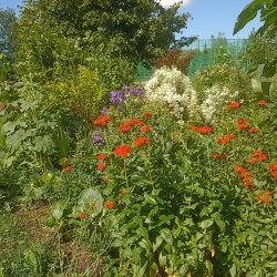 IMG_20250623_0931555f1724c57f910eb1